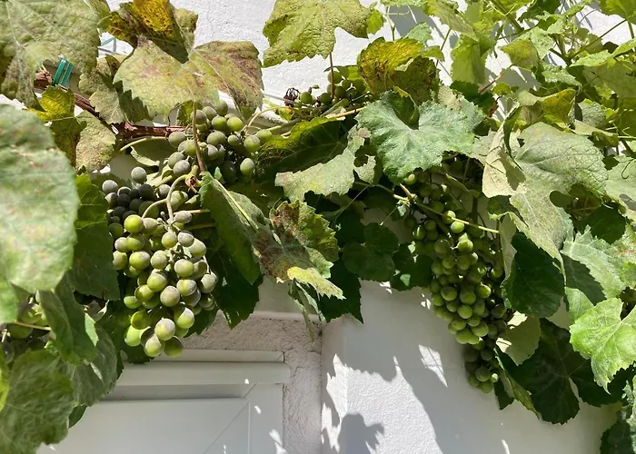 Lieberhaeuschen 度假居 古默斯巴赫